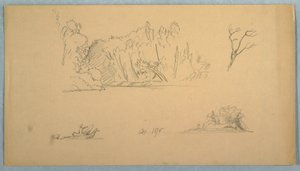 Zeichnung, Botanische Skizzen: Baum, Bäume am Ufer, September 1876