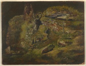 Zeichnung, Fels im Wald, ca. 1845 von Frederic Edwin Church
