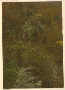 Hügel mit Büschen und Bäumen bedeckt, Juli 1865 von Frederic Edwin Church