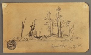 Insel, 1878