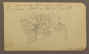 Zeichnung, Landschaft, Häuser; Rückseite: Baumwipfel, Februar 1885 von Frederic Edwin Church