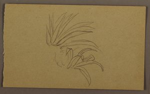 Lilienpflanze, 1865 von Frederic Edwin Church