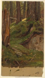 Maine? Wälder, 1855–65 von Frederic Edwin Church