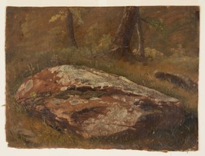 Moosiger Felsen von Frederic Edwin Church