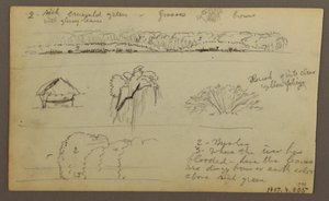Zeichnung, Gebirgsketten "Einfahrt nach Guayaquil"; Rückseite: Flussufer, Botanische Skizzen, möglicherweise 1857 von Frederic Edwin Church