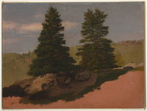 Zeichnung, Neuengland-Landschaft (Zwei Kiefern), 1850