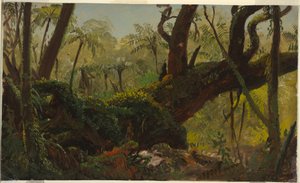 Zeichnung, Regenwald, Jamaika, Westindische Inseln, April–August 1865 von Frederic Edwin Church