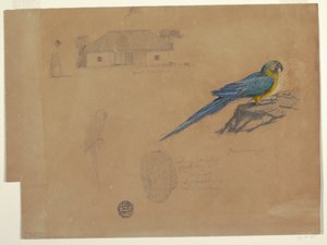 Studien von Guaccamaya, Bogotá, Kolumbien, Juni–Juli 1853 von Frederic Edwin Church