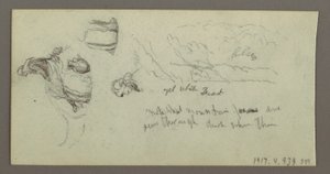 Studie von Kamelbeinen, möglicherweise 1868