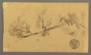 Baum, 1877 von Frederic Edwin Church