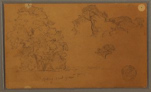 Bäume, 1857 von Frederic Edwin Church