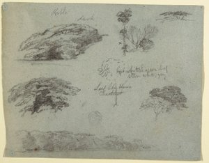 Bäume, Baumwipfel und ein bewaldetes Ufer, Saddleback, Maine, 1853 von Frederic Edwin Church