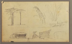Ansichten des Ostufers des Guayas-Flusses, gegenüber von Guayaquil, Ecuador, Mai 1857 von Frederic Edwin Church