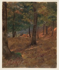 Zeichnung, Waldszene, 1870–80 von Frederic Edwin Church