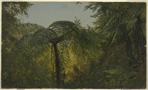 Dschungelvegetation, Jamaika