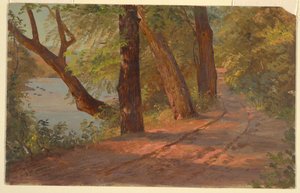 Landschaft aus Nordamerika (Straße an einem See)