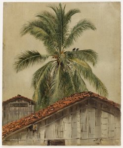 Palmen und Hausdächer, Ecuador von Frederic Edwin Church