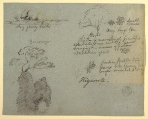 Flussufer und botanische Skizzen aus Higuerote, Ecuador von Frederic Edwin Church