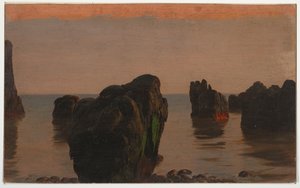 Felsen und Moos vor Grand Manan