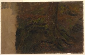 Studie eines Baumstamms