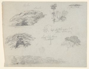 Bäume, Baumwipfel und ein bewaldetes Ufer, Saddleback, Maine