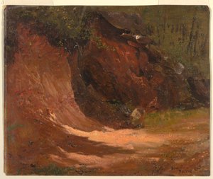 Waldufer, Jamaika