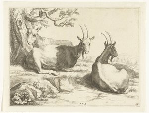 Ziegen (Serie: Das Zeichenbuch von Abraham Bloemaert) von Frederick Bloemaert