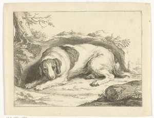Spaniel von Frederick Bloemaert