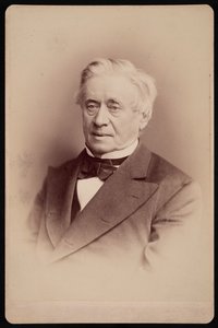 Porträt von Joseph Henry 1797-1878, 1876