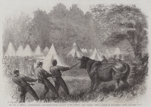 Der Krieg in Amerika, Quartiermeisterabteilung, Töten von Ochsen im Bundeslager, Virginia
