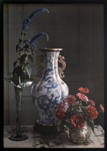 Stillleben mit verziertem chinesischem Vase