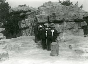 Eine Gruppe von Wärtern packt heilige Paviane zwischen den Felsen des 