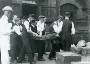 Ein Team von Männern trägt einen Alligator, überwacht von Sir Peter Chalmers Mitchell, Londoner Zoo, 1924 von Frederick William Bond