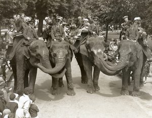 Elefantenreiten im Londoner Zoo, Juli 1936 von Frederick William Bond