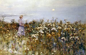 Sommersonne von Frederick William Jackson