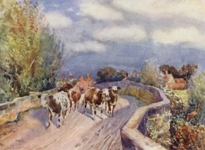 Marton Brücke von Frederick William Newton Whitehead