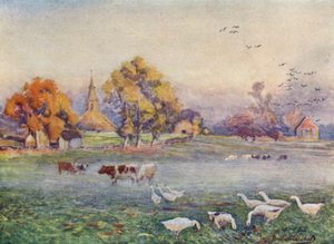 Die Abteifelder, Kenilworth