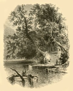 Nordarm des Susquehanna bei Hunlocks