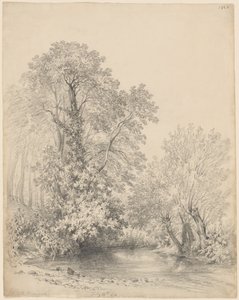 Bäume am Fluss bei Castle Bromwich von Frederick William Watts