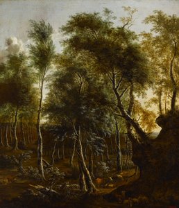 Eine bewaldete Landschaft