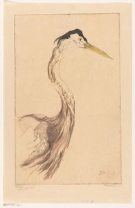 Reiher von Frederika Henriëtte Broeksmit (signed by artist)