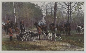 Eine Kreuzung im Wald von Rambouillet, Frankreich von French Photographer