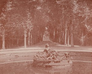 Becken der Flora, Park von Versailles von French Photographer