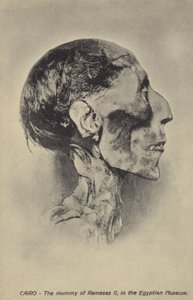 Mumie von Ramses II.