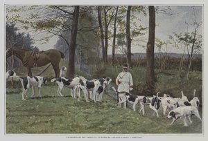 Rudel von Hunden des Barons de Carayon-Latour in Virelade, Frankreich von French Photographer