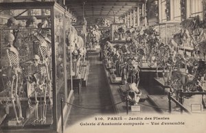 Paris, Jardin des Plantes von French Photographer