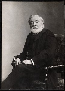 Porträt von Étienne Charles Henri, Vicomte de Bornier (1825-1901), französischer Dichter und Dramatiker von French Photographer