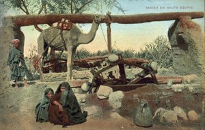 Sakia, Oberägypten von French Photographer