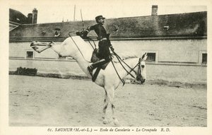 Saumur (Maine-et-Loire), Kavallerieschule, La Croupade von French Photographer