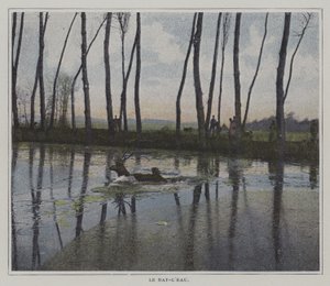 Hirsch schwimmt, um einer Jagd zu entkommen (Farbfoto) von French Photographer